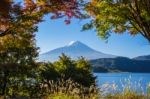 Mountain Fuji With Morning Light And Red Maples Leaves Tunnel Stock Photo