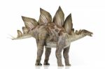Stegosaurus Stock Photo