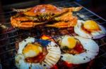  Grilled Seafood Stock Photo