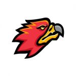 Firebird Head Mascot Stock Photo