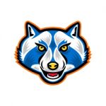North American Raccoon Mascot Stock Photo