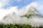 Lush High Mountains Covered By Mist Stock Photo