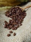 Coffee Beans In Wooden Spoon On Sackcloth Stock Photo