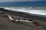 Driftwood On Rarangi Beach Stock Photo