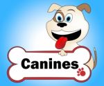 Canine With Bone Indicates Pups Pedigree And Pet Stock Photo
