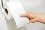 Toilet Paper Stock Photo