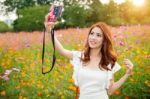 Woman Taking Photos At A Cosmos Flowers Stock Photo