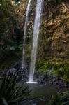 Twin Falls Waterfall Located In Springbrook National Park Stock Photo