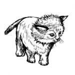 Freehand Sketch Illustration Of Little Cat, Kitten Stock Photo