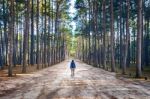 Hiking Man With Backpack Walking In Forest Stock Photo