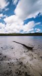 Brown Lake On Stradbroke Island, Queensland Stock Photo