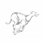 Greyhound Running Doodle Art Stock Photo