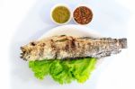 Grilled Salted Catfish Stock Photo