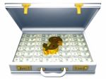Dollar And Briefcase Stock Photo
