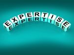 Expertise Blocks Mean Expert Skills Training And Proficiency Stock Photo