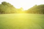 Blurred Image Of Green Park Scenery Stock Photo
