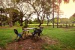 Park Benches, Nature Resting Benches Stock Photo