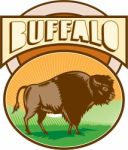 American Bison Buffalo Oval Woodcut Stock Photo