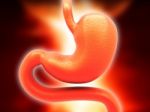 Human Stomach, 3d Rendering Isolated On Red Background Stock Photo