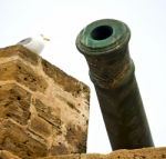 In Africa Morocco  Green Bronze Cannon And The Blue Sky Stock Photo