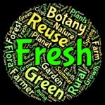 Fresh Word Indicates Words Fresher And Text Stock Photo