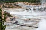 Norris Geyser Basin, Yellowstone/usa - September 26 : People Wal Stock Photo