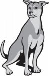 Husky Shar Pei Cross Dog Sitting Cartoon Stock Photo