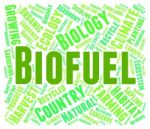 Biofuel Word Indicating Green Energy And Biofuels Stock Photo