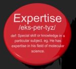 Expertise Definition Button Stock Photo