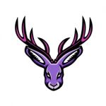Jackalope Head Mascot Stock Photo