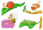 Cartoon Insect Stock Photo