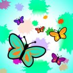 Colorful Butterflies Shows Vibrant Butterfly And Colourful Stock Photo
