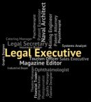 Legal Executive Indicating Senior Administrator And Lawyers Stock Photo