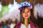 Karen Tribal Girl From Padaung Long Neck Hill Tribe Village Stock Photo