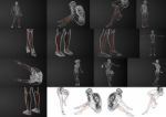 3d Rendering Illustration Of The Fibula Bone Stock Photo