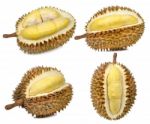Durian Isolated On The White Background Stock Photo