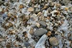 Snow, Ice, Shells & Stones On A Winter Beach Stock Photo