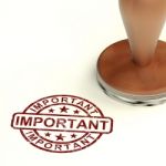 Rubber Stamp With Important Word Stock Photo