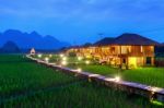 Wooden Path And Green Rice Field At Night In Vang Vieng, Laos Stock Photo