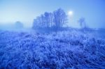 Moonlight Winter Misty Night. Snow And Frost On Grass Stock Photo