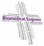 Biomedical Engineer Indicates Biomedicine Work And Words Stock Photo