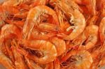 The Shrimps Stock Photo