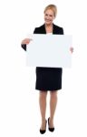 Female Executive Pointing Towards White Ad Board Stock Photo