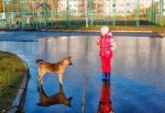 Girl Standing In A Pool Playing With The Dog Stock Photo