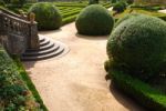 Beautiful Ornamental Garden With Green Bushes Stock Photo