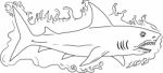 Shark Water Side Drawing Stock Photo