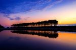 Silhouette And Reflections Of Row Tree At Sunset Stock Photo