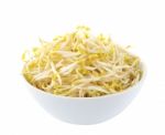 Bean Sprouts In Bowl On White Stock Photo
