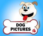 Dog Pictures Represents Doggie Image And Pedigree Stock Photo
