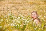 Blond Girl On The Camomile Field Stock Photo